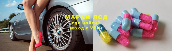 индика Богданович