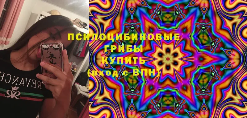 omg онион  Пугачёв  Псилоцибиновые грибы мицелий 